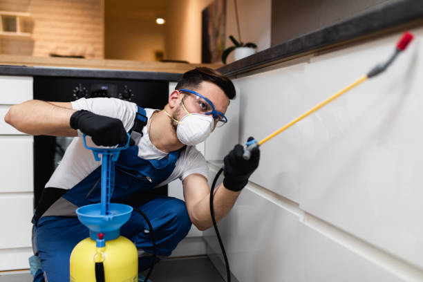 Trusted Judson, SC Pest Control Experts