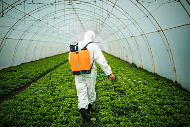 Best Residential Pest Control  in Judson, SC