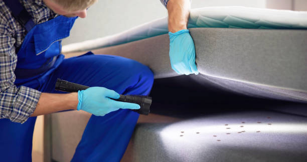 Best Mosquito Control Services  in Judson, SC
